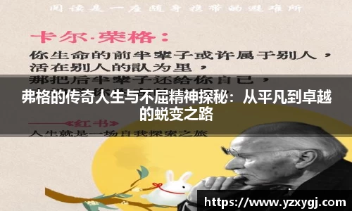 MK体育