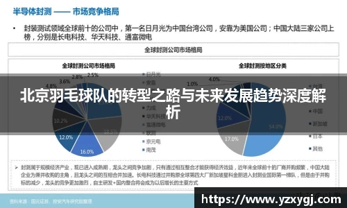 北京羽毛球队的转型之路与未来发展趋势深度解析